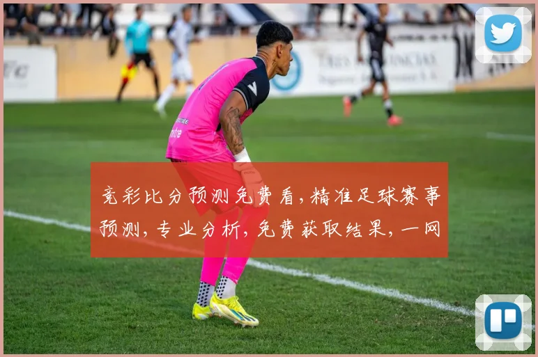 竞彩比分预测免费看,精准足球赛事预测,专业分析,免费获取结果,一网打尽